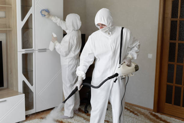 24/7 Emergency Odor Removal experts in McClellanville, SC
