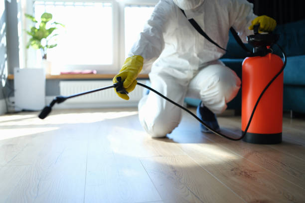 Reliable Odor Removal contractor in McClellanville, SC by Trauma Clean Pros